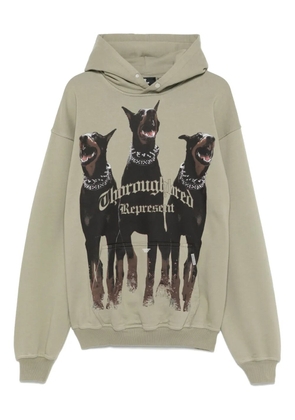 Represent Represent Thoroughbred hoodie - Green