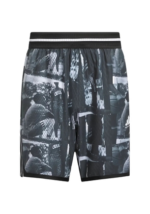 adidas Crazy Lite AOP printed shorts - Black