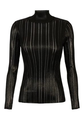 Elisabetta Franchi striped roll-neck jumper - Black