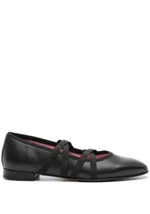 Carel Paris Tutu suede ballerina shoes - Black