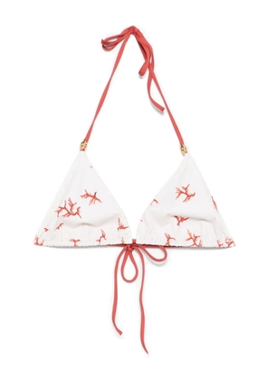 FENDI coral-print triangle-cup bikini top - Neutrals