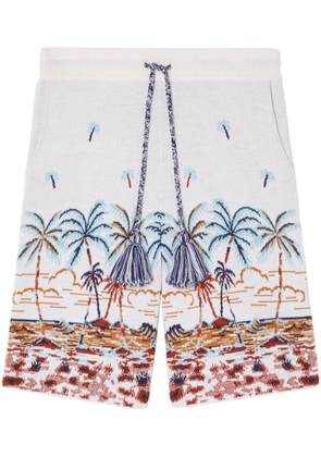 Alanui The Tale Of Hawaiian shorts - Neutrals