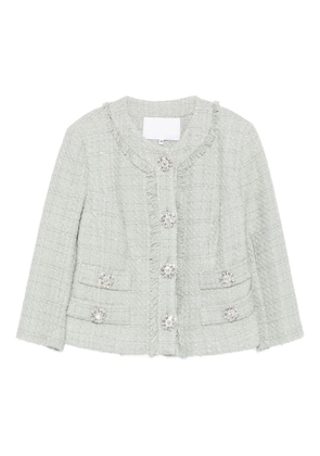 Costarellos embellished fringe jacket - Green