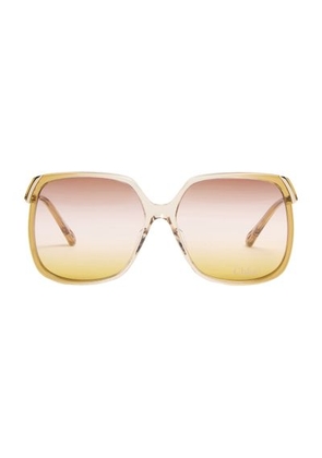 Aly sunglasses