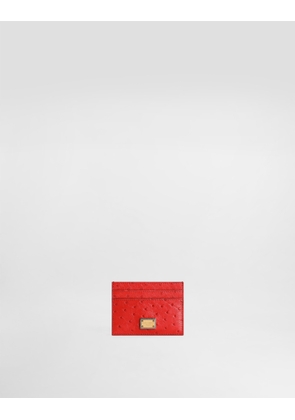 Dolce & Gabbana Polished Ostrich Leather Card Holder - Woman Wallets And Small Leather Goods Red Onesize