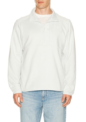 The North Face Performance Fleece 1/4 Zip in Pearl Stone - Light Grey. Size L (also in M, S, XL/1X, XXL/2X).