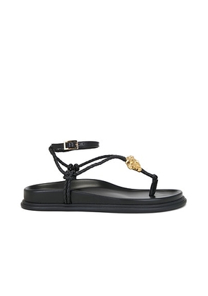 VERSACE Strappy Sandal in Black & Gold - Black. Size 37 (also in 38, 41).