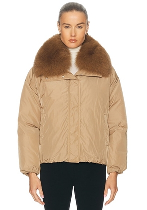 Yves Salomon Short Down Jacket in Liegeois - Brown. Size 36 (also in 38, 40).