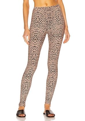 ALAÃA Print Legging in Chair & Noir - Blush. Size 42 (also in 40).