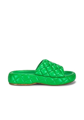 Bottega Veneta Stretch Padded Sandals in Parakeet - Green. Size 37 (also in 36, 38, 39, 40, 41).