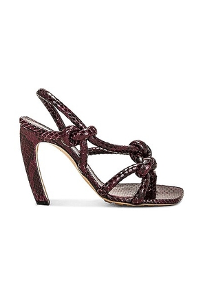 Bottega Veneta Jimbo Slingback Sandal in Merlot - Burgundy. Size 36.5 (also in 36, 38, 39).