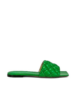 Bottega Veneta Padded Stretch Flat Sandals in Parakeet - Green. Size 39.5 (also in 36).