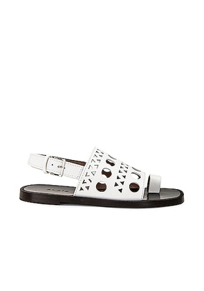 ALAÃA Perforated Flat Sandal in Blanc Casse - White. Size 40 (also in 37, 41).