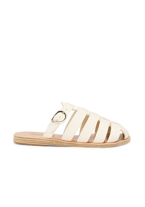 Ancient Greek Sandals Cosmia Sandal in Off White - Ivory. Size 38 (also in 37).