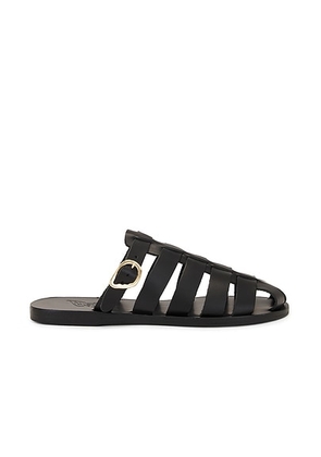 Ancient Greek Sandals Cosmia Sandal in Black - Black. Size 38 (also in 36).
