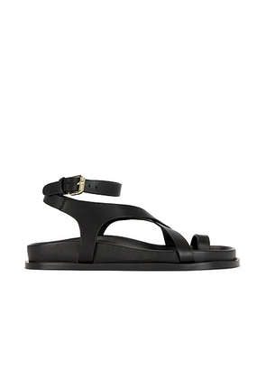 A.EMERY Jalen Slim Sandal in Black - Black. Size 37 (also in 35, 36, 38, 39, 40, 41).