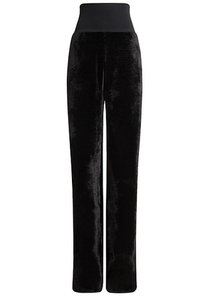 ALAÃA Velvet Pant in Noir Alaia - Black. Size 36 (also in 34, 38, 40).