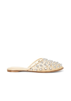 Alexander Wang Rhodes Flat Slipper in Nude - Nude. Size 36.5 (also in 36, 37, 38, 38.5).