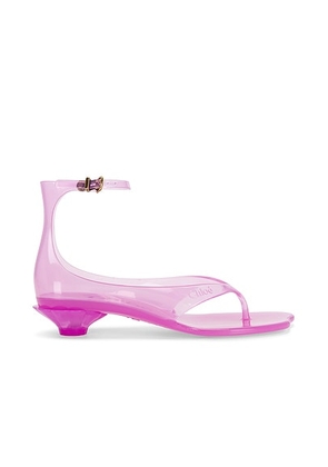 Chloe Jelly Sandal in Pink Fizz - Pink. Size 39 (also in 37, 40).