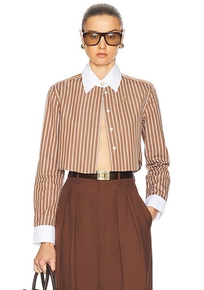 Casablanca Cotton Stripe Shirt in Brown - Brown. Size S (also in L).