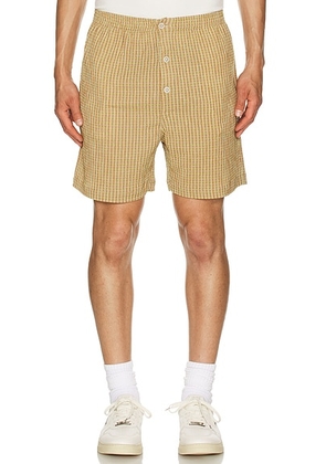 Advisory Board Crystals Tokyo Summer Shorts in Green - Green. Size S (also in M, XL/1X).