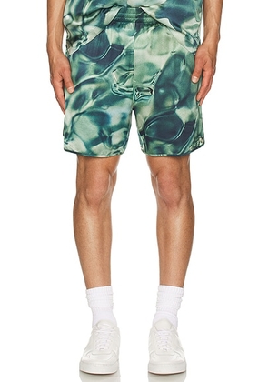 Blue Sky Inn Shorts in Green - Green. Size M (also in L).