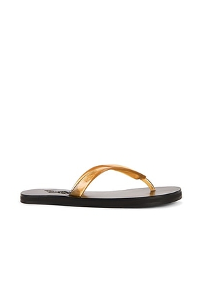 Ancient Greek Sandals Saionara Jelly Sandal in Clear Caramel - Brown. Size 37 (also in 36, 40, 41).