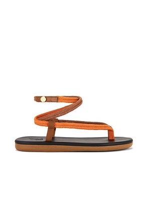 Ancient Greek Sandals Ormi Sandal in Orange & Tan - Orange. Size 37 (also in 36, 38, 39, 40, 41).