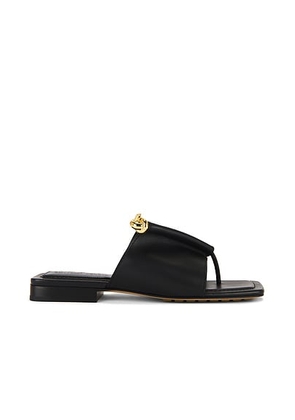 Bottega Veneta Solstice Flat Sandal in Black - Black. Size 36.5 (also in 36, 37, 38, 39, 39.5, 41).