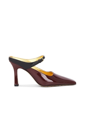 Bottega Veneta Mule Pump in Cacao & Black - Wine. Size 37 (also in 36.5, 38, 38.5, 39, 39.5, 41).