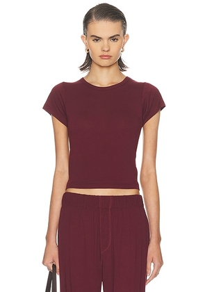 Eterne Short Sleeve Cotton Modal Baby Tee in Oxblood - Burgundy. Size S (also in M).