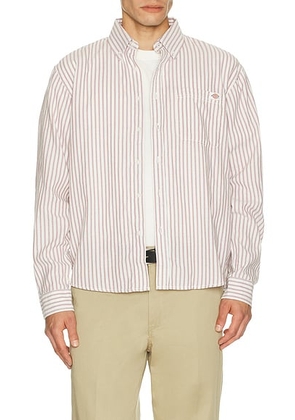Dickies Long Sleeve Gallatin Shirt in Egret - Brown. Size S (also in ).