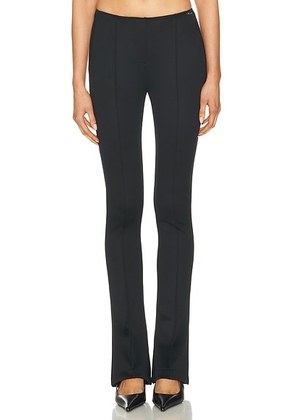 Blumarine Scuba Pant in Black - Black. Size 38 (also in 42).