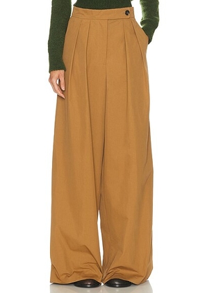 Dries Van Noten Pamplona Pants in Tan - Tan. Size 36 (also in 34, 38, 40).