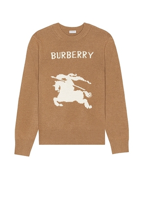 Burberry Bobby Intarsia EKD Sweater in Camel - Brown. Size M (also in S, XL/1X, XXL/2X).