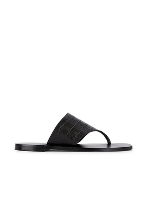 A.EMERY Paton Sandal in Black Embossed Croc - Black. Size 36 (also in 35, 37, 38).