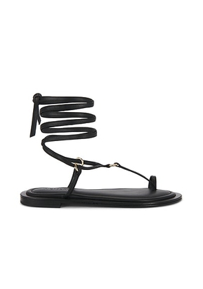 A.EMERY Tesni Sandal in Black - Black. Size 36 (also in 35, 37, 38, 39).