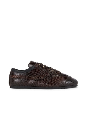 Dries Van Noten Snake Sneaker in Dark Brown - Brown. Size 37 (also in 36, 38, 39, 40, 41).