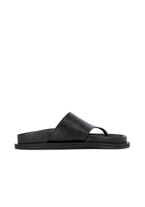 A.EMERY Imara Sandal in Black Embossed Croc - Black. Size 36 (also in 35, 37).