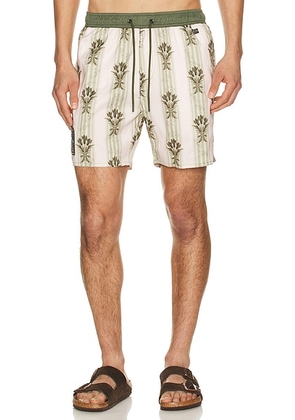 Agua Bendita Joe Swim Trunks in Off White - White,Green. Size 32 (also in 30, 34, 36).
