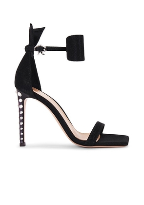 Gianvito Rossi Flash Bow Strap Sandal in Black - Black. Size 38 (also in 36.5, 37, 38.5, 39.5, 40, 41).
