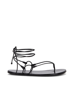 Jude Mili Sandal in Black Leather - Black. Size 41 (also in 37).