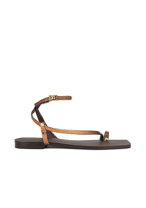 Johanna Ortiz Flamenco Echoes Sandal in Copper & Dark Chocolate - Brown. Size 41 (also in 36, 37).