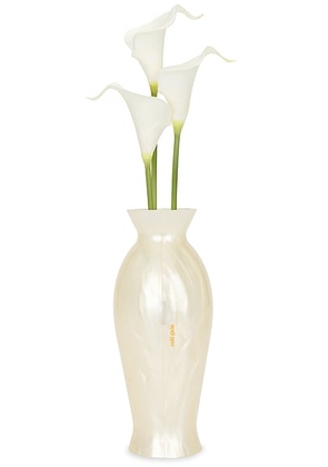 Cult Gaia Florence Clutch in Ivory - Ivory. Size all.