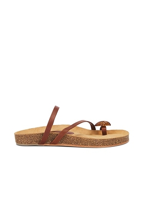 Johanna Ortiz Camel Aztec Horse Sandals in Mocca & Wood - Brown. Size 38 (also in 36, 39, 40, 41).