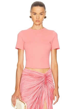 Cult Gaia Milios Knit Top in Bubble - Pink. Size M (also in XS).