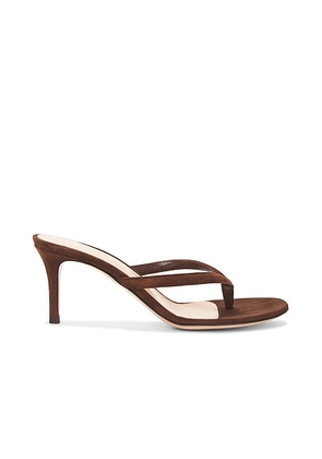 Gianvito Rossi Calypso Sandal in Brown - Brown. Size 39.5 (also in 36, 39).
