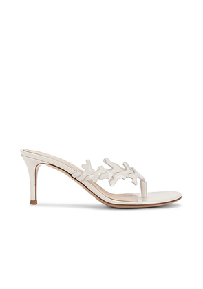 Gianvito Rossi Nuit Sandal in Off White - White. Size 37 (also in 36, 38, 39, 41).