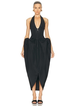 Cult Gaia Samya Dress in Black - Black. Size 0 (also in 2, 4, 6, 8, 10).