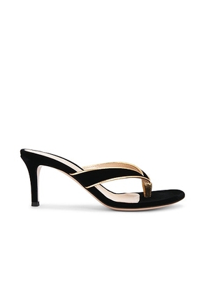 Gianvito Rossi Sandal in Mekong & Black - Black. Size 36.5 (also in 36, 37, 37.5, 38, 38.5, 39, 39.5, 40, 41).